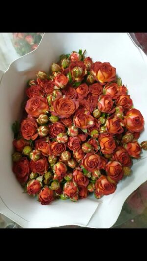 Rose Spray Chocolate