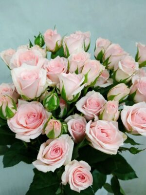 Rose Spray Light Pink