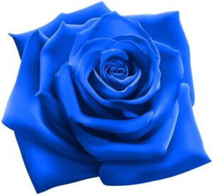Blue Dyed