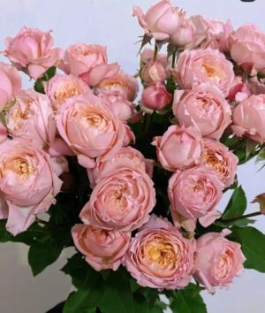 Rose Spray Juliet Tower