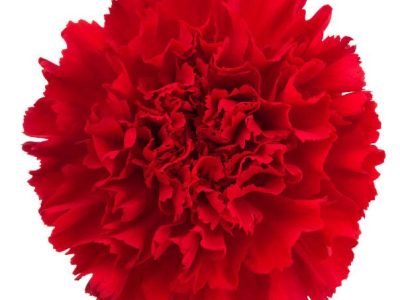 7bdc406d-f584-4a23-a1a4-e5047404adf6