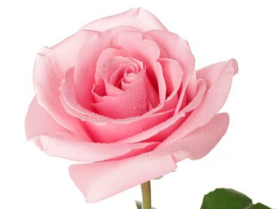 96f63f5d-06fc-48c9-af52-9ae69991e84b