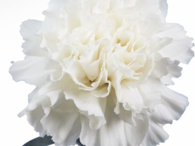 f0642f7c-7647-48ee-80e2-807061488c8f